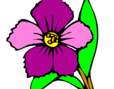 Coloring page Flower painted bymar