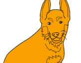 Coloring page Dog painted bytaylorr a