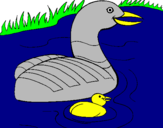 Coloring page Mother goose and gosling painted bydaddy