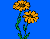 Coloring page Daisies painted byemma