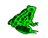 Coloring page Frog painted byhannah