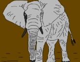 Coloring page Elephant painted bymichele