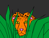 Coloring page Cheetah painted byJuan Pablo