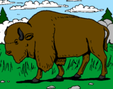 Coloring page Buffalo painted bypuppy