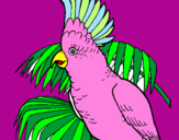 Coloring page Cockatoo painted byanna