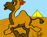 Coloring page Camel painted byArlene