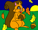 Coloring page Squirrel painted byshaelyn