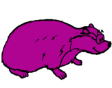 Coloring page Badger painted bymaxi