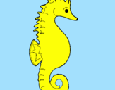 Coloring page Sea horse painted bydany12