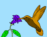 Coloring page Hummingbird and flower painted byIratxe