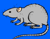 Coloring page Underground rat painted byCarlos CFFFDrdova