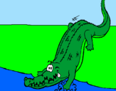 Coloring page Alligator entering water painted byOliver A