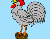 Coloring page Cock singing painted byanna