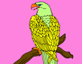 Coloring page Eagle on branch painted bykendall