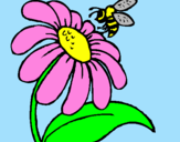Coloring page Daisy with bee painted byPezza