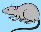 Coloring page Underground rat painted byanna