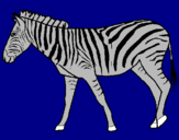 Coloring page Zebra painted byanimal lover