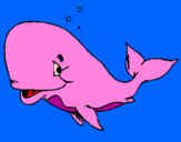 Coloring page Bashful whale painted byJuanitaR