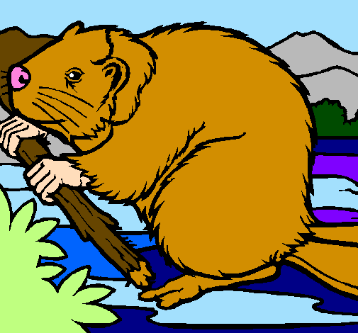 Coloring page Beaver  painted byangela