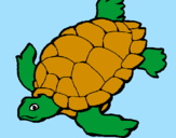 Coloring page Turtle painted bydani
