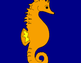 Coloring page Sea horse painted bychiara