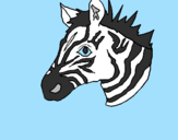 Coloring page Zebra II painted bypuppy