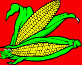Coloring page Corncob painted byanna