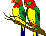 Coloring page Parrots painted byParrot