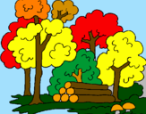 Coloring page Forest painted byabby