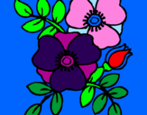 Coloring page Poppies painted bycasey