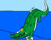 Coloring page Alligator entering water painted bylaiden