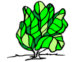 Coloring page lettuce painted bylettuce