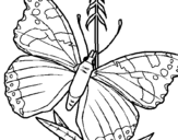 Coloring page Butterfly painted byMichael