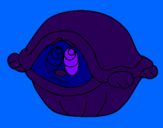 Coloring page Scared turtle painted byalejandro