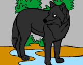 Coloring page Wolf painted byRayne