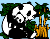 Coloring page Panda mother painted byIvy