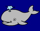 Coloring page Whale shooting out water painted byAbigail