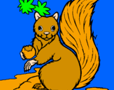 Coloring page Squirrel painted byjaqueline