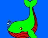 Coloring page Little whale painted bykeoma