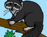 Coloring page Raccoon painted byTrickstar0213
