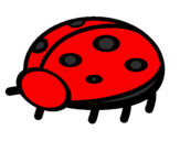 Coloring page Ladybird painted byariana