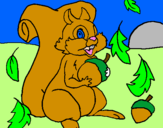 Coloring page Squirrel painted byIEVA 