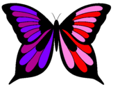 Coloring page Butterfly painted byBARBARA  