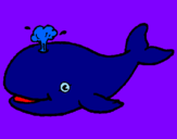 Coloring page Whale shooting out water painted bysamantha