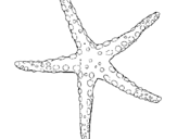 Coloring page Little starfish painted byyuan