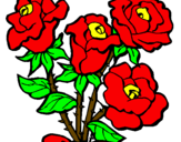 Coloring page Bunch of roses painted bytaylorxsheila
