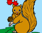 Coloring page Squirrel painted by:D