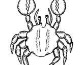 Coloring page Crab with large pincers painted byanonymous