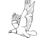 Coloring page Eagle flying painted byyuan