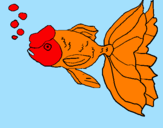 Coloring page Tancho fish painted byivanna@